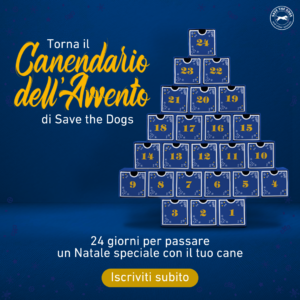 Torna il Canendario dell'Avvento di Save the Dogs