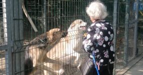 Un gruppo di anziani è venuto a visitare il nostro rifugio