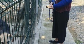 Un gruppo di anziani è venuto a visitare il nostro rifugio