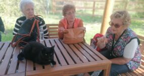 Un gruppo di anziani è venuto a visitare il nostro rifugio