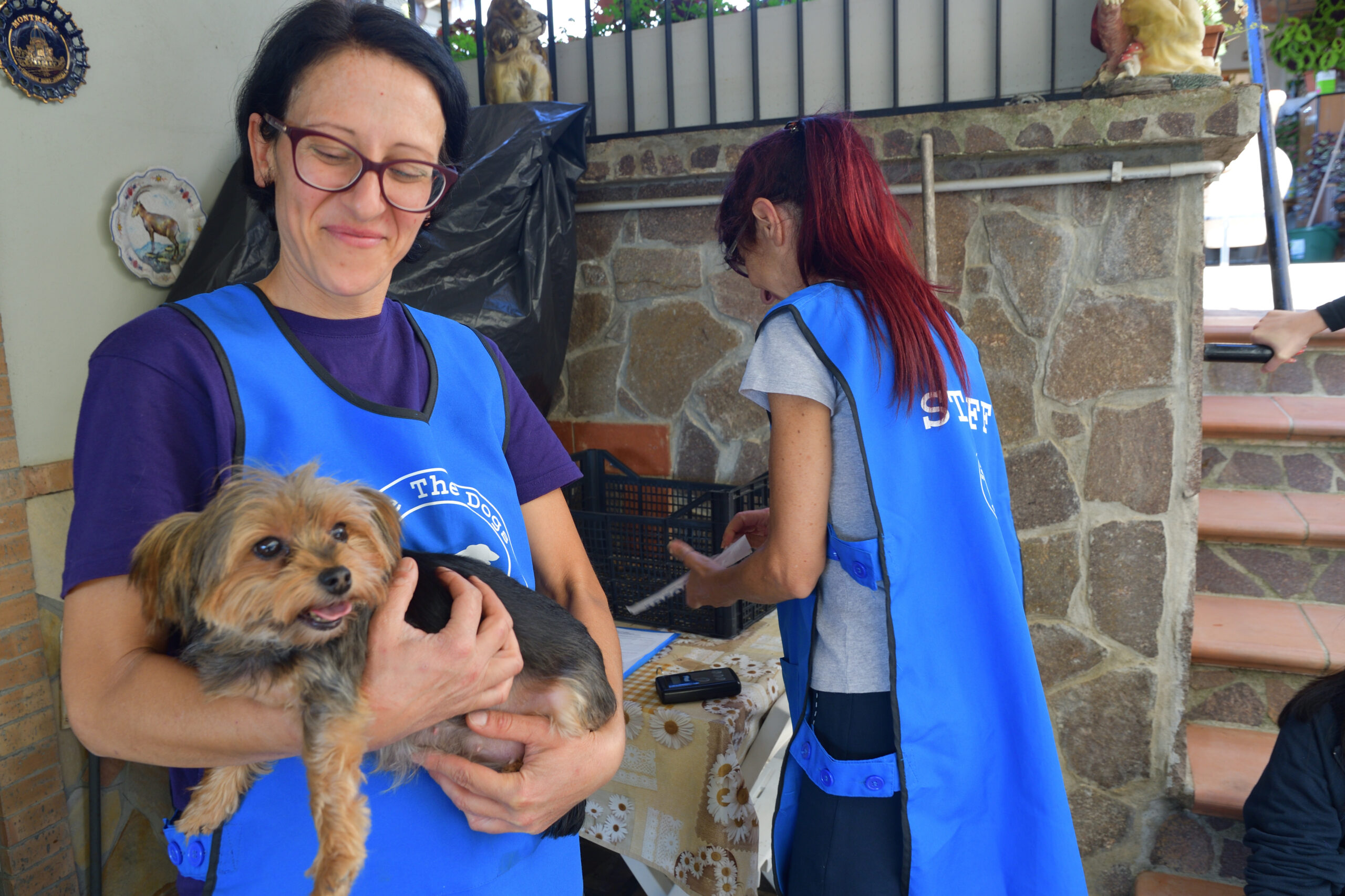 I microchip, le sterilizzazioni e la sensibilizzazione della popolazione sono tasselli dello stesso puzzle: il contrasto al sovrappopolamento canino e felino.