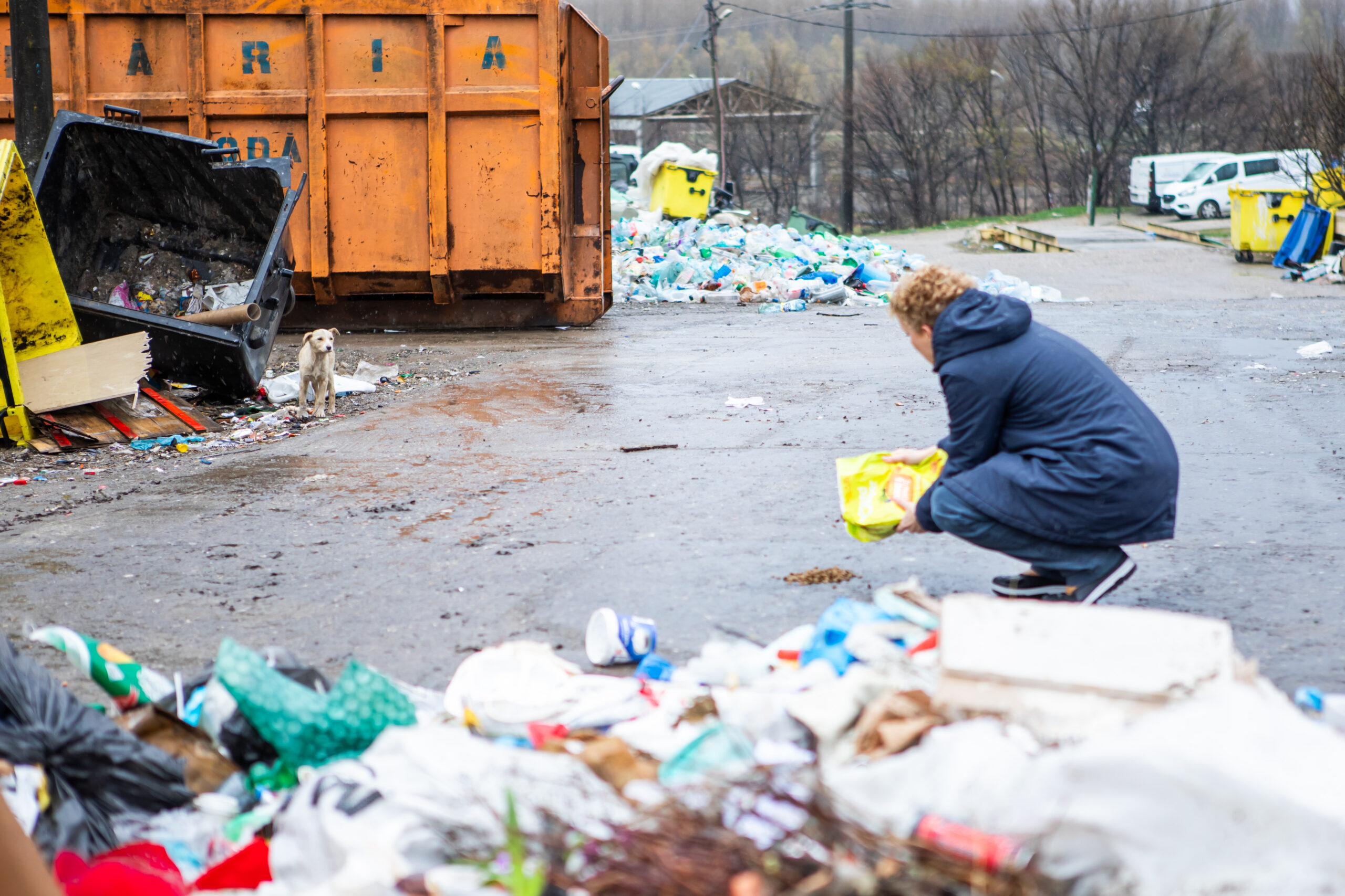 Osservare i cani che girano sulle strade è uno degli aspetti più affascinanti del nostro lavoro