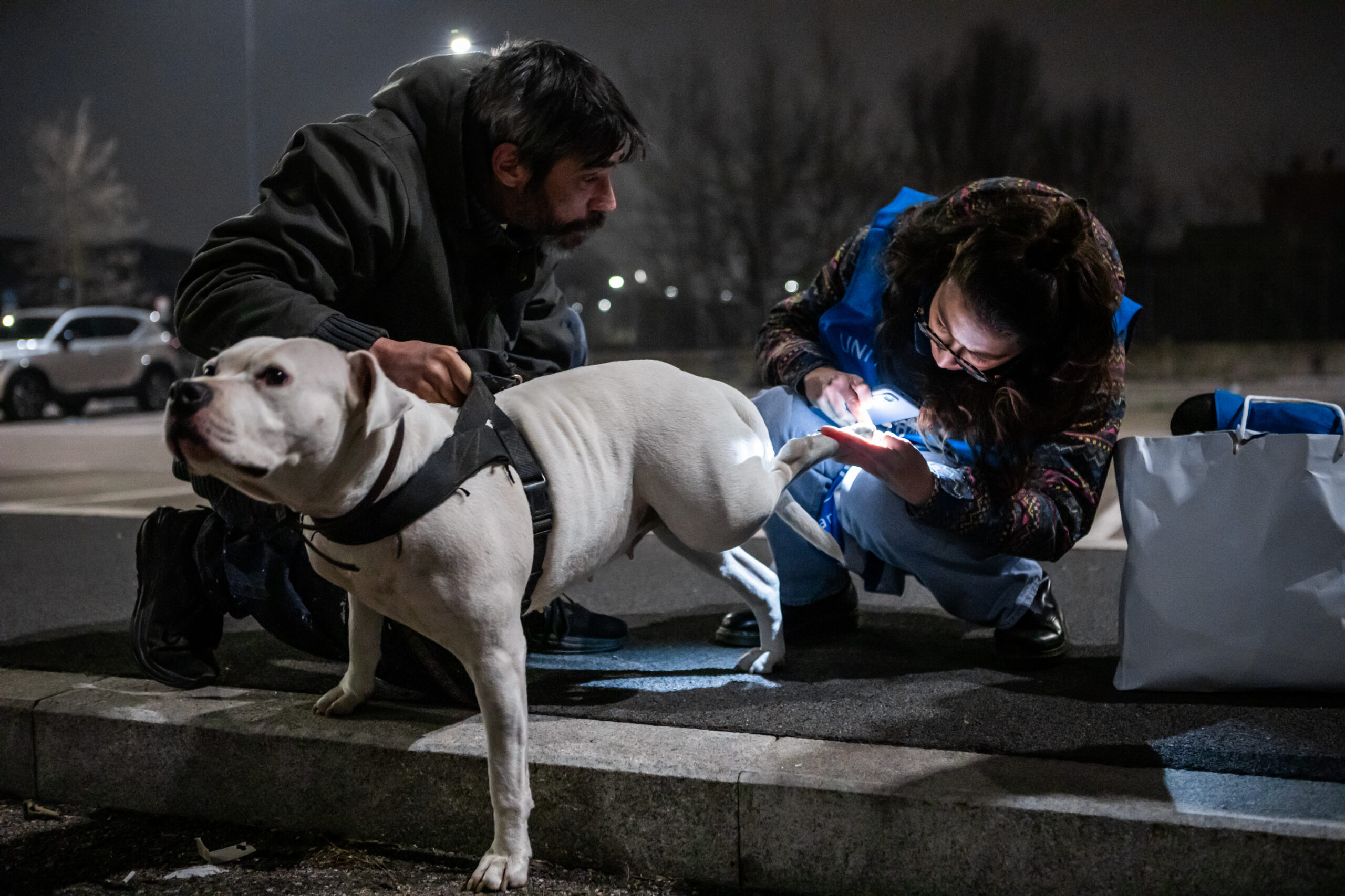 Vivendo in situazioni di promiscuità con i loro umani, capita spesso che i cani che seguiamo siano imparentati tra loro