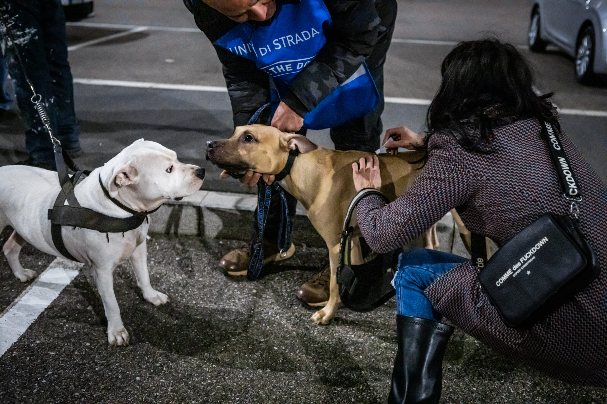 Ridurre le cucciolate è il primo passo per togliere gli animali dai canili e tutelare il legame che ognuno di loro condivide con la propria persona