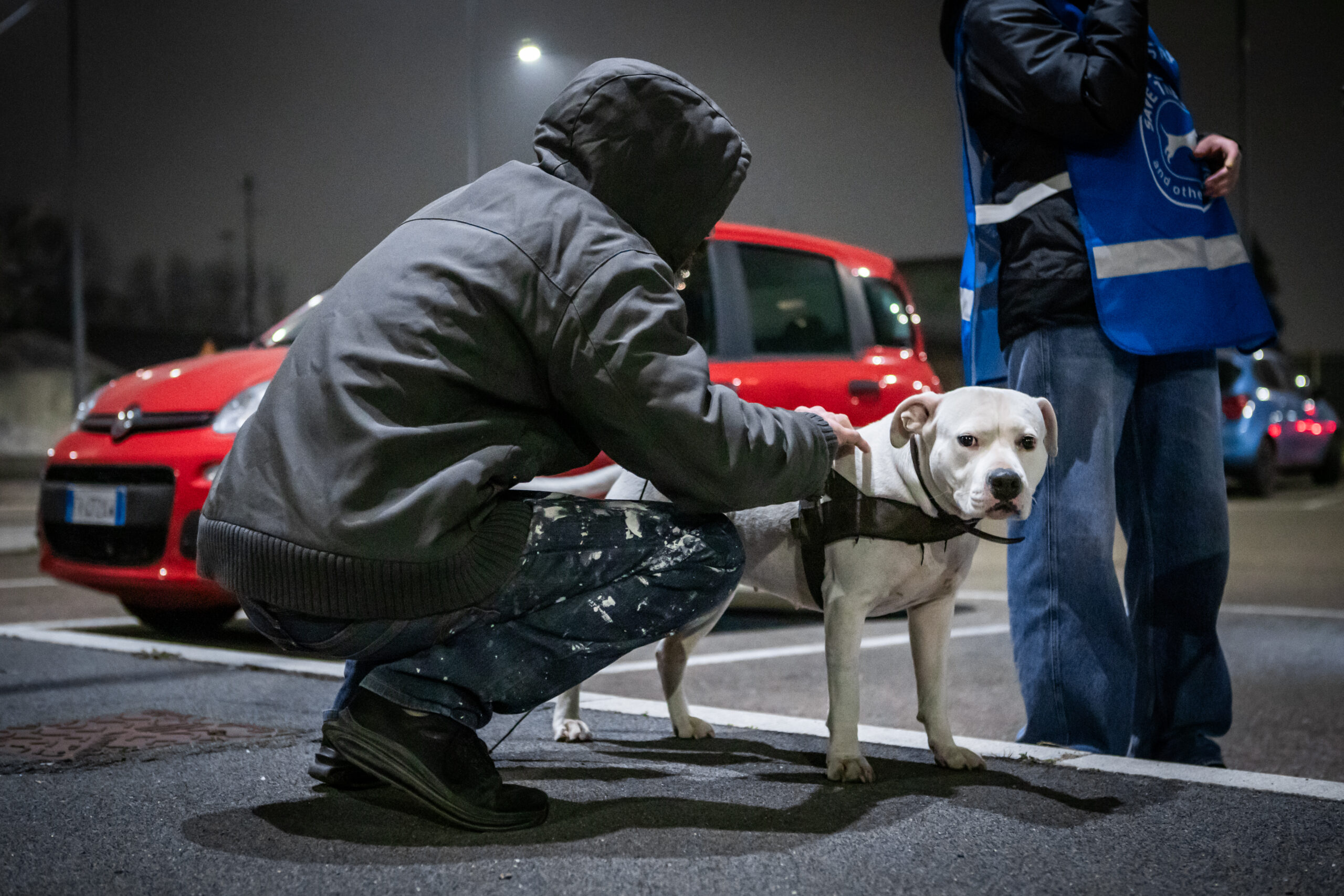 La maggior parte degli utenti che seguiamo con Amici di Strada, hanno terrier di tipo bull e molossoidi non sterilizzati