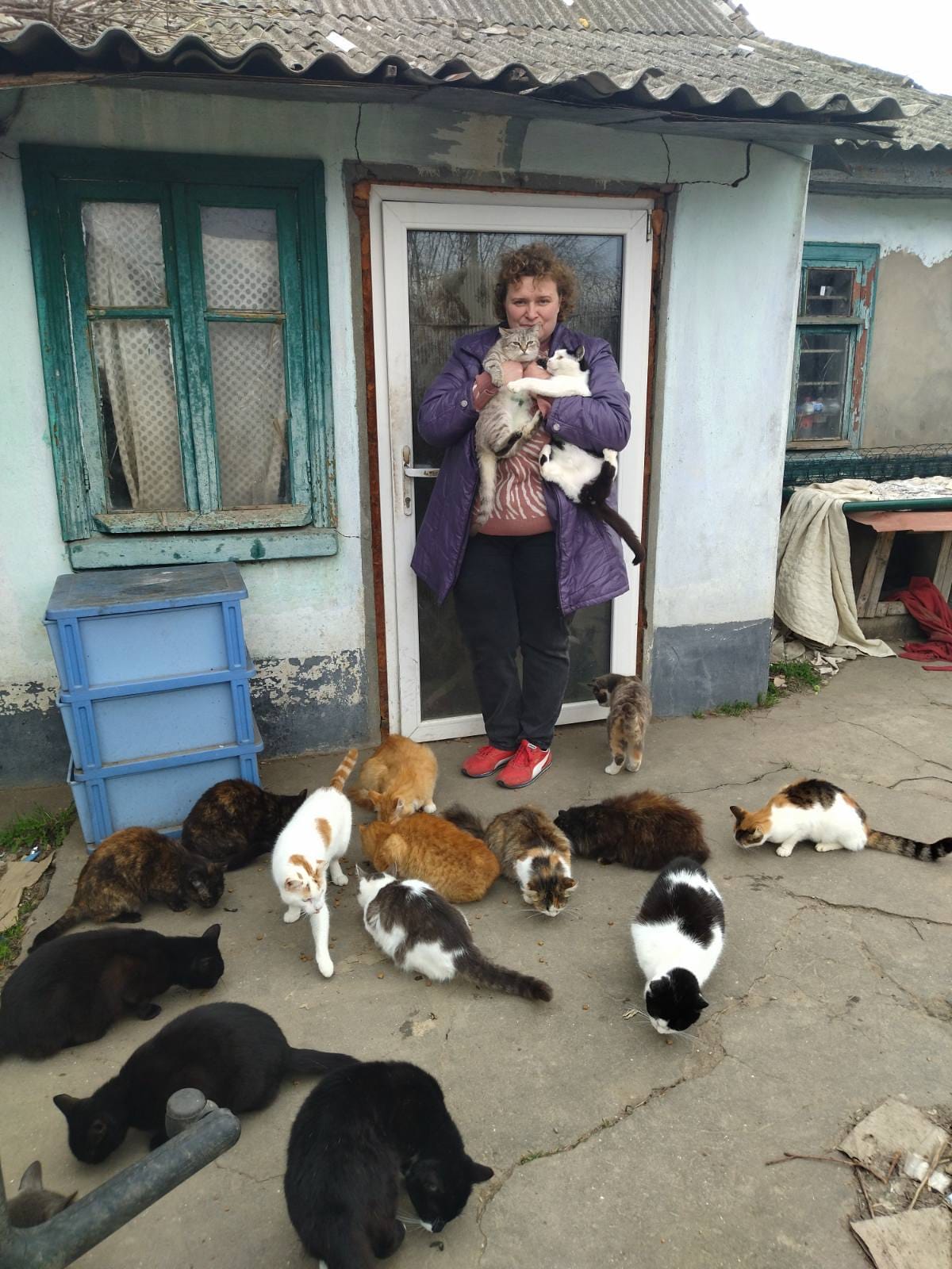 Ucraina Gatti
