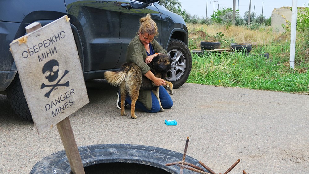 We have sterilized more than 500 animals in Ukraine