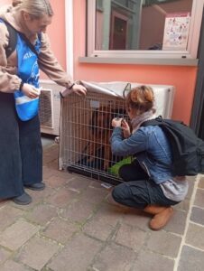 Da qualche mese, abbiamo installato una gabbietta sicura e sempre custodita nello Sportello Accoglienza di Opera San Francesco