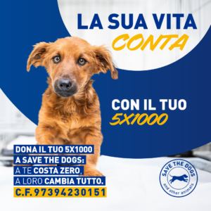 Quest'anno dona il tuo 5x1000 a Save the Dogs