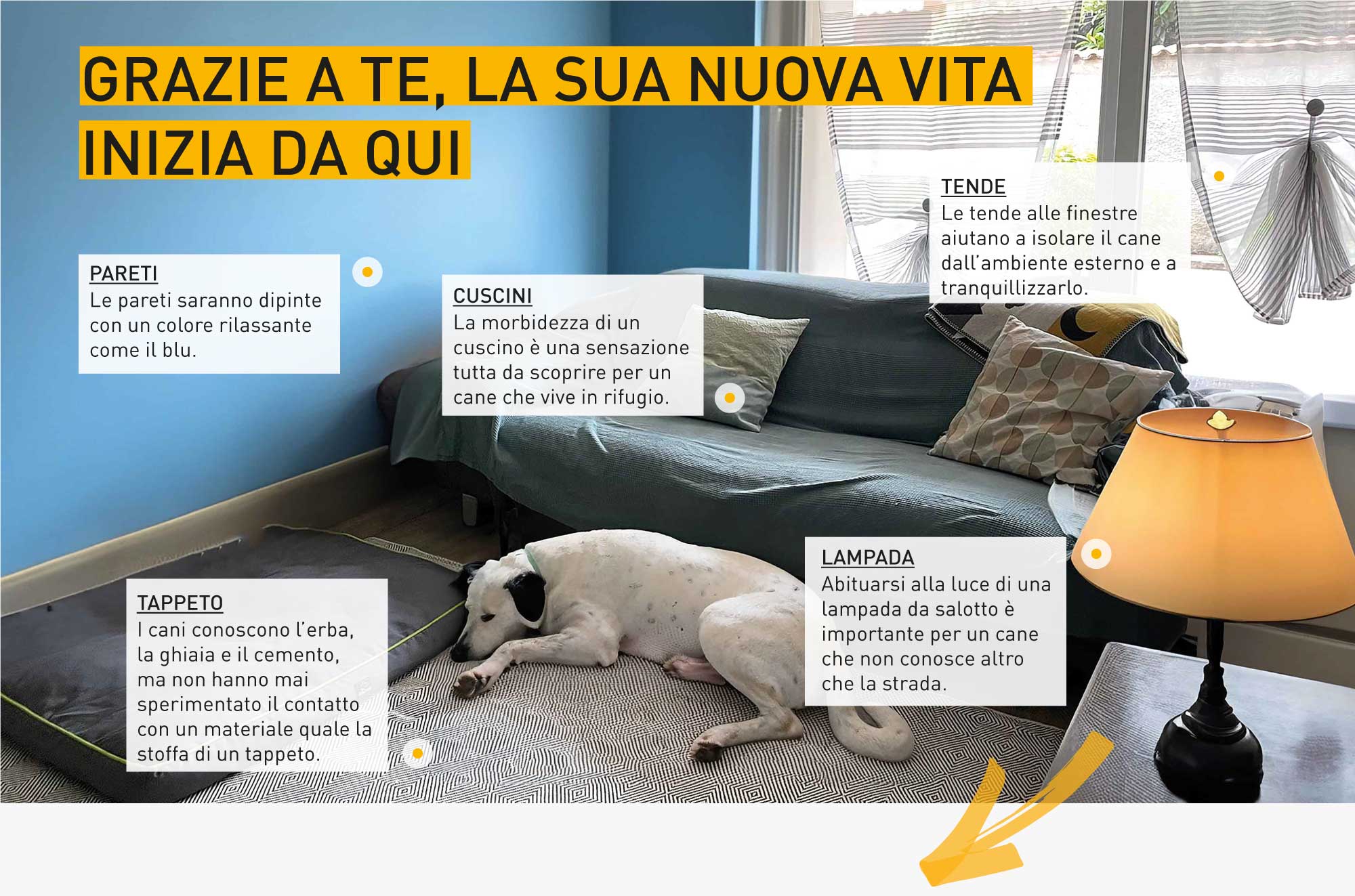 Ecco come ci immaginiamo l'interno di Impronte in Famiglia