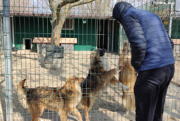 I benefici per gli animali