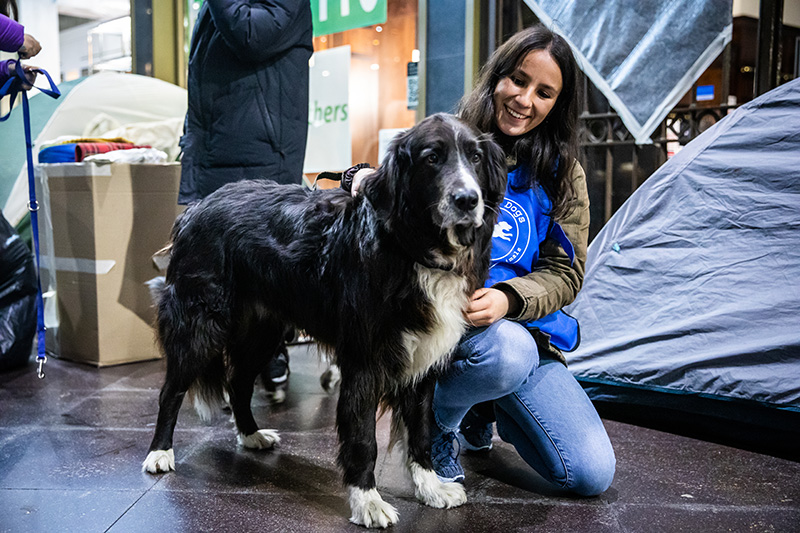 Animali in salute e controllati rappresentano anche una garanzia per i cittadini e per le persone che convivono con loro