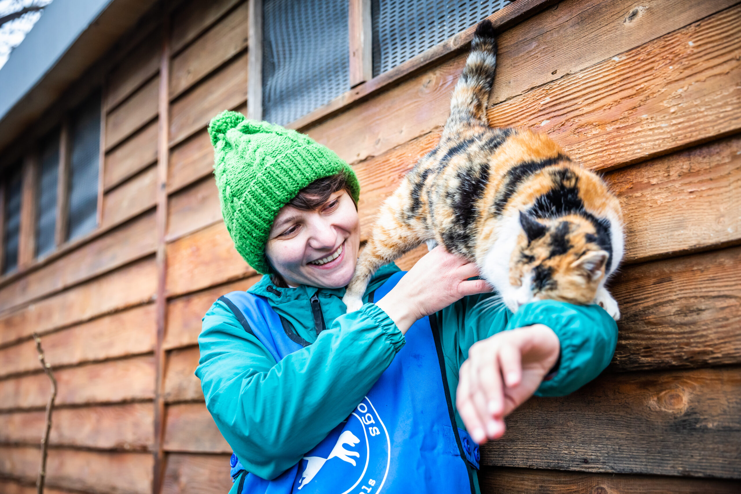 Kneading is a sign of comfort and well-being in adult cats, almost always associated with positive experiences