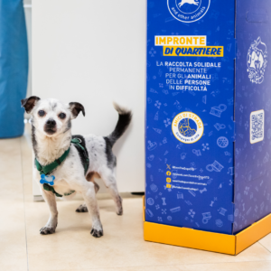 The project aims not only to improve the living conditions of under-privileged animals but also to forge a collective mission and uphold ethical values