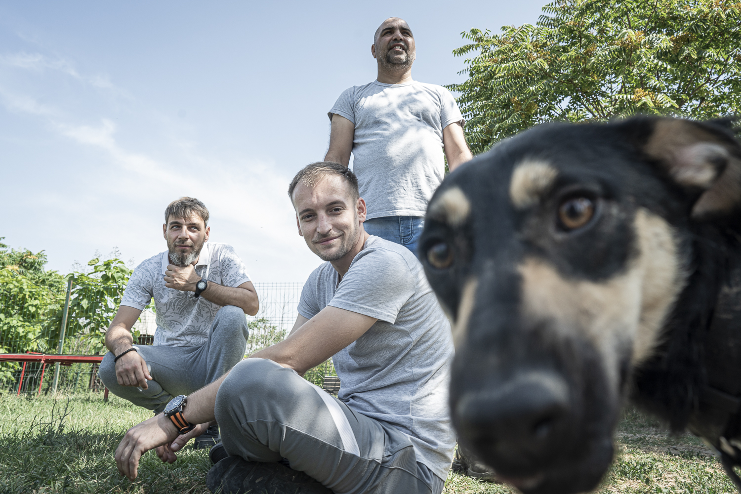 Progetto Detenuti